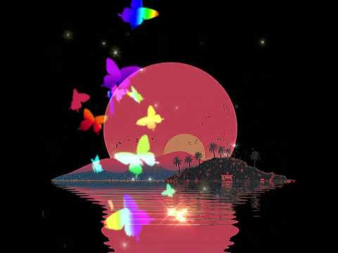 Amber Coast | Lofi Chill & Focus