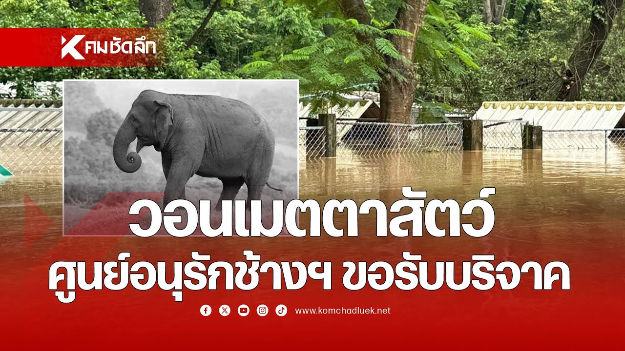 ต้องการความช่วยเหลือ ศูนย์อนุรักช้างฯ ขอรับบริจาค