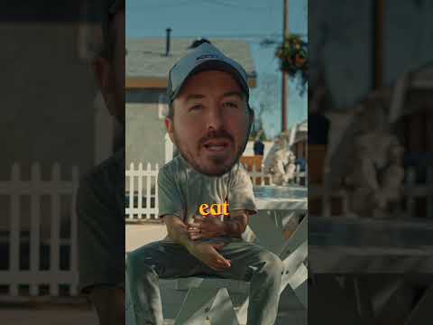 “It’s Always Sunny” by Lilo Key