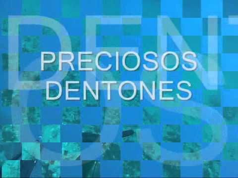 PESCASUB COSTA BRAVA