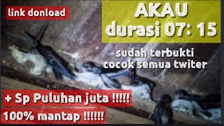 Download lagu Suara panggil walet akau 7:15 jernih original, sudah teruji , suara panggil seharga puluhan juta mp3 Download lagu Suara panggil walet akau 7:15 jernih original, sudah teruji , suara panggil seharga puluhan juta mp3