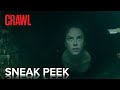 CRAWL | Bonus Sneak Peek | Paramount Movies