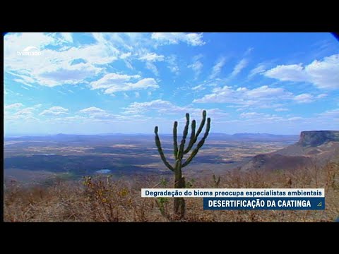 Caatinga corre risco de desertificação, aponta debate