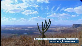 Caatinga corre risco de desertificação, aponta debate