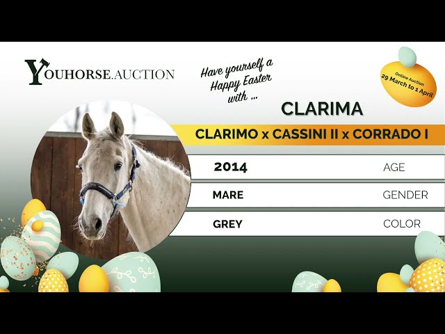 Grandmother: Corrasina