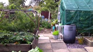 preview picture of video 'Roper Avenue Allotments - Sharon's plot'