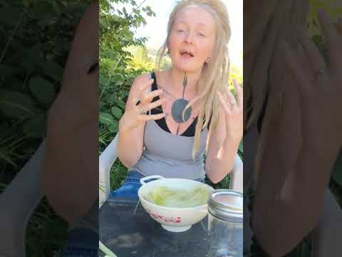 Let's make a Corn silk tincture!