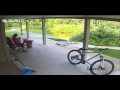 Cougar sighting in Baldwin Michigan