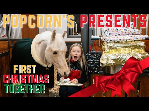 POPCORN'S CHRISTMAS DAY * FIRST CHRISTMAS * SANTA'S BEEN * PONY PRESENTS *