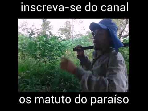 Os matuto do paraíso  a namorada  de cocô