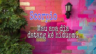 Download lagu SCORPIO🔹DIA YANG DATANG PADAMU🔹#marianalo#libra2020#readingtarotindonesia#tarot mp3 Download lagu SCORPIO🔹DIA YANG DATANG PADAMU🔹#marianalo#libra2020#readingtarotindonesia#tarot mp3