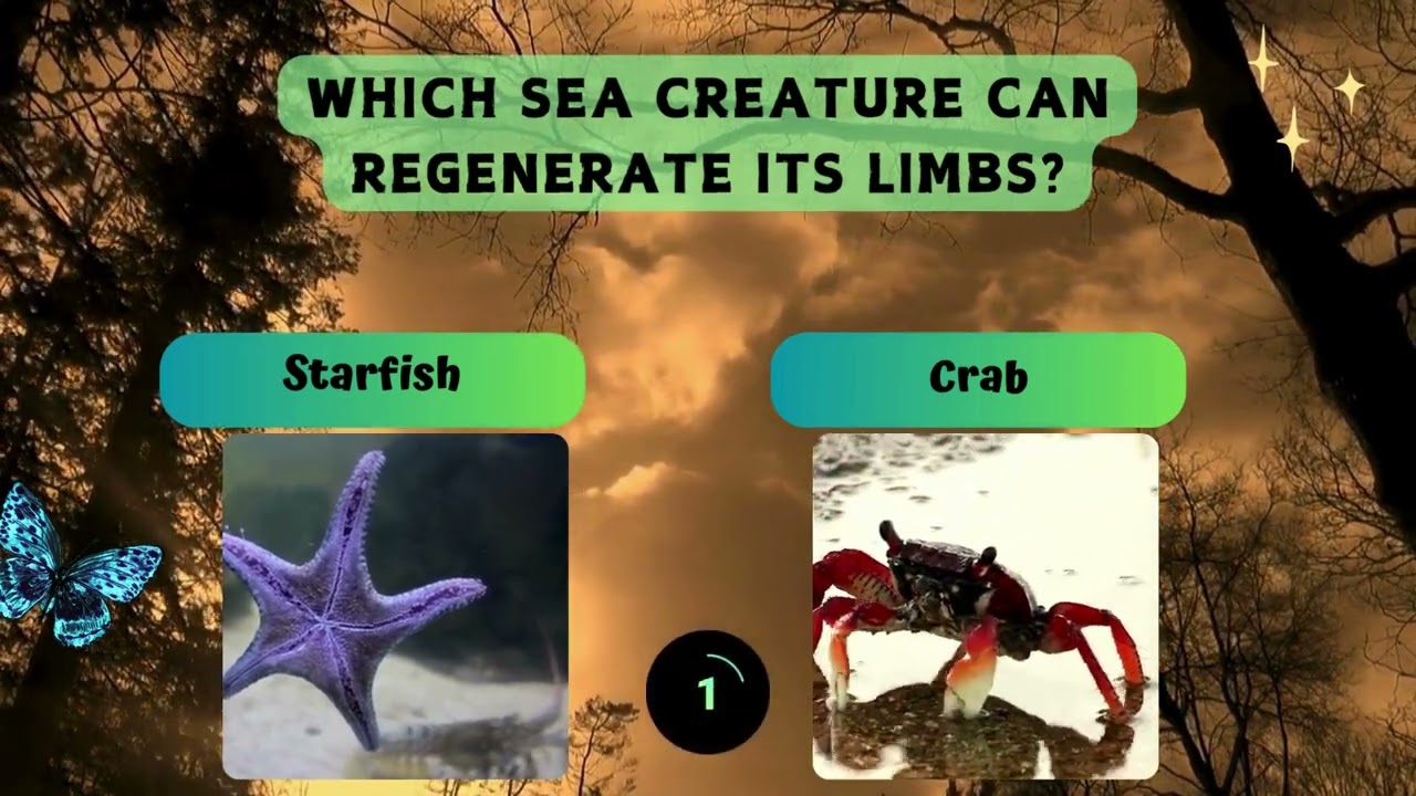 How much you know about animals quiz  | 30questions trivia