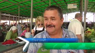 Як правильно обрати виноград та скільки грамів на день краще вживати?