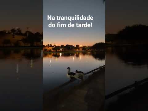 Fim de tarde em Sidrolândia MS