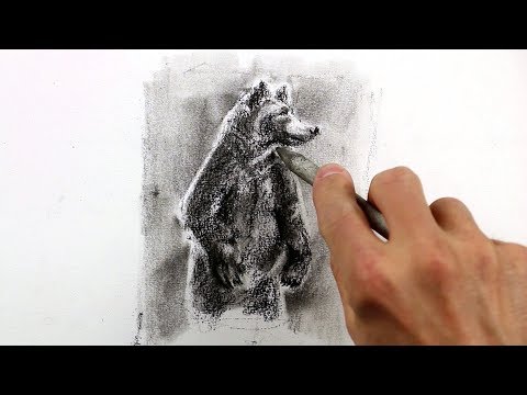 Comment dessiner un ours - Tutoriel dessin