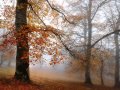 If I Should Fall Behind, Faith Hill (Breathe) - jazsuz11 If I Should Fall Behind, Faith Hill (Breathe)