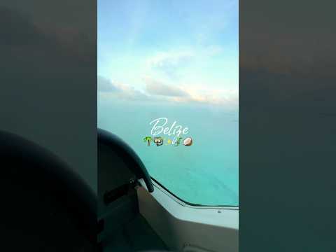 “I hope I can go to Belize one day”🌴🤿🦎🥥