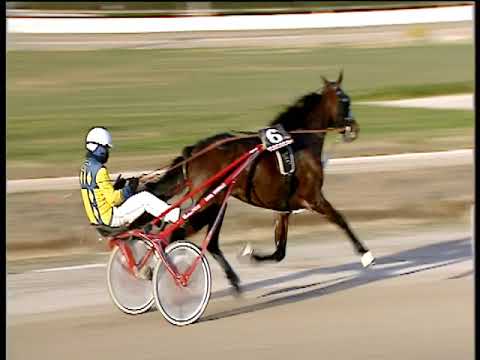 Trotto 18/01/2019 - 2ª corsa