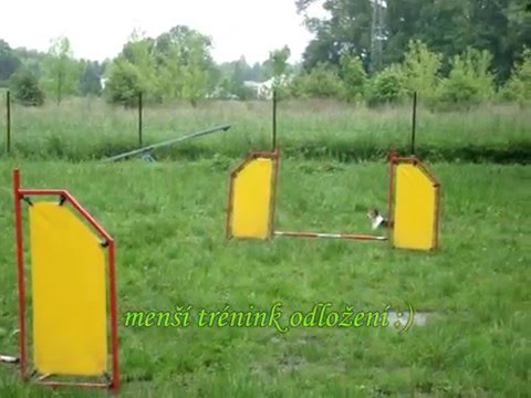 Amatullah Chamsa Ghipinaldo agility training