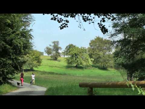 Hier "shepherds" - wie 3 AUSSIES unser Leben bereichern