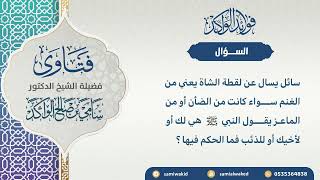 صورة لقطة الغنم || فتاوى عامة || د . سامي بن صالح الواكد