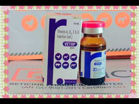 Pet Dog Medicine