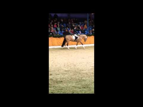 Dance for Me v. FS Daddy Cool x FS Champion de Luxe x Golden Dancer