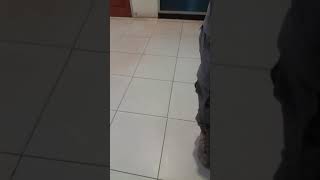 Download lagu FPU INDONESIA - Good Bye My Uncle  save flight to Sudan|| Indonesia - Afrika mp3