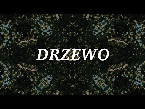 CSM/worship – Drzewo