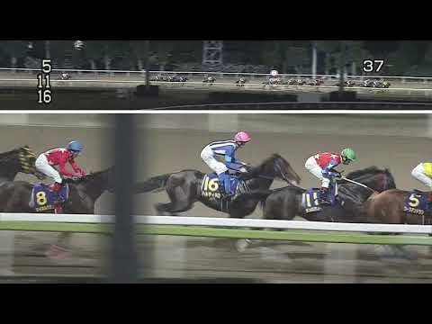 20201118 サンタアニタトロフィー（大井）