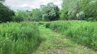 A Walk through Boulder Brook Reservation (4K)