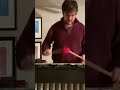 Yardbird suite Ben portner #benportner #charlieparker #jazz #vibraphone #jazzvibraphone