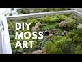 DIY MOSS ART | DONE SIMPLY