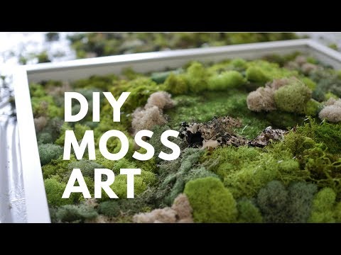 download lagu mp3 mp4 Moss Art, download lagu Moss Art gratis, unduh video klip Moss Art