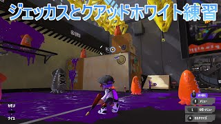 マニュ系練習【スプラ3】