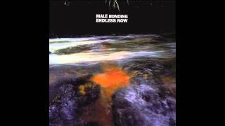 Male Bonding - Tame The Sun (not the video)