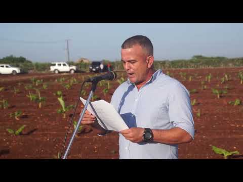 Comenzaron acciones de la siembra de frío en #LasTunas