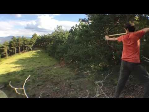 Stump shooting with Grozer's moghul "crab" bow
