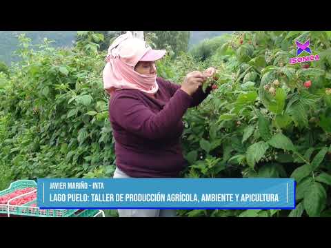 ➡️Lago Puelo: taller de Producción Agrícola, Ambiente y Apicultura⬅️