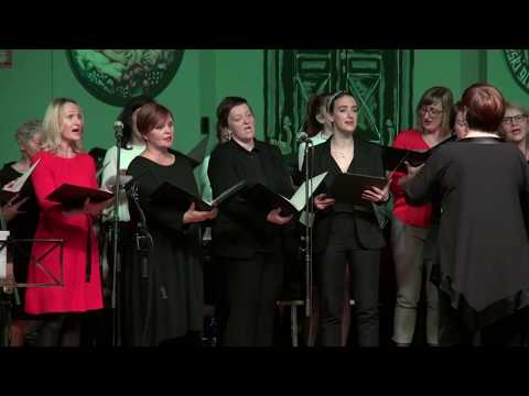 Solzice (Brežice) - Cvetoče tulpe (v živo)