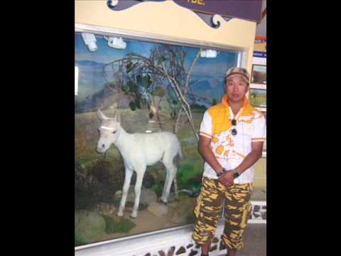 M.Byambajav Hairiin sowin