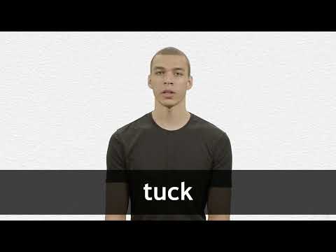 TUCK definition and meaning Collins English Dictionary TUCK definition and meaning Collins English Dictionary