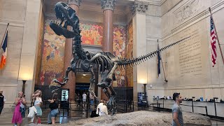 Американский музей естественной истории, часть 2