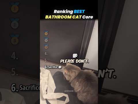 Ranking BEST BATHROOM CAT Core Moments!! 🐱🧻