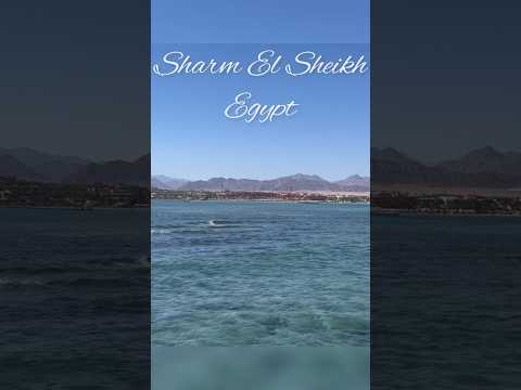 Sharm El Sheikh, Egypt 🌊❤️#shorts #egypt