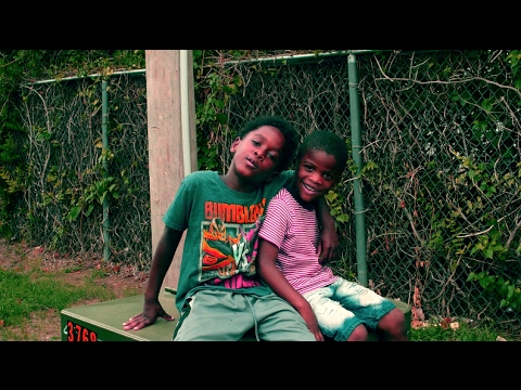 Green Box - Apehouse