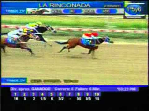 Resumen Sábado, 21 de Mayo de 2011 - La Rinconada