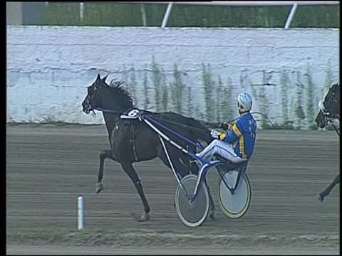 Trotto 09/09/2016 - 4° corsa