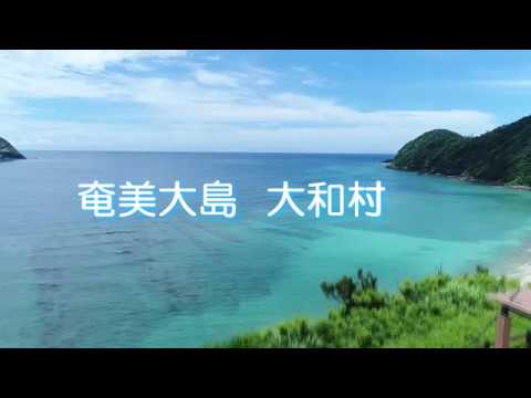 大和村ドローン動画