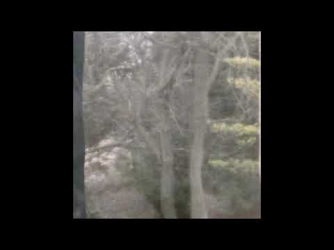 45. Arthrn - endless morn [13.03.2018]